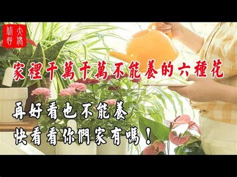 櫻花風水|【櫻花樹 風水】 櫻花樹風水大揭秘！你知道種櫻花樹竟有這麼多。